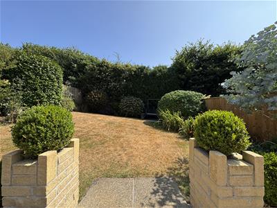 Picture 20